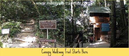 14+ Canopy Walk Ayer Keroh Perlis PNG