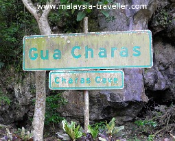 Gua Charas, Pahang, Malaysia