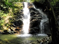 Malaysian National Parks