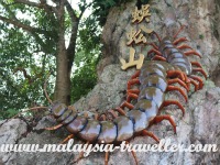 Centipede Temple, Seremban