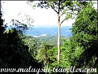 Gunung Telapak Buruk