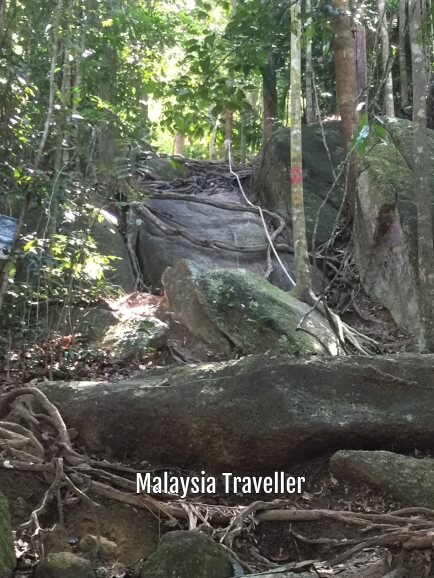 Bukit Engku Busu An Invigorating Jungle Hill Trek At Lumut Perak