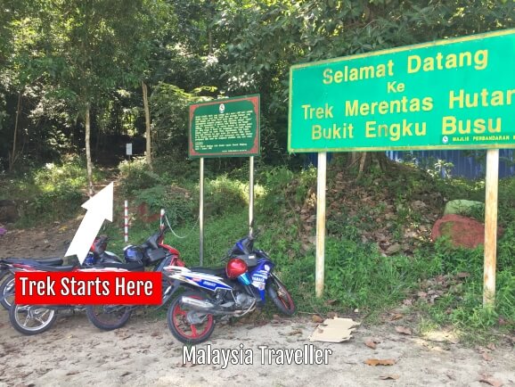 Bukit Engku Busu An Invigorating Jungle Hill Trek At Lumut Perak