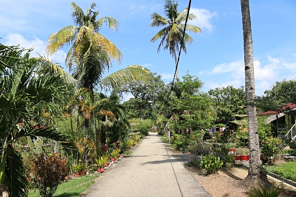 Kampung Orang Asli Bukit Kepong near Pasir Panjang, Port 