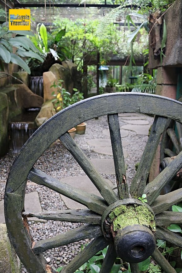 Melaka Butterfly And Reptile Sanctuary Malaysia Traveller