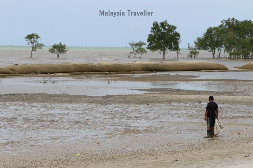 Pantai Kelanang Banting Selangor