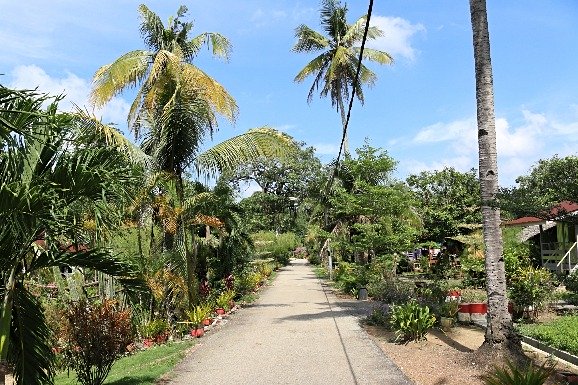  Kampung Orang Asli  Bukit Kepong near Pasir Panjang Port 